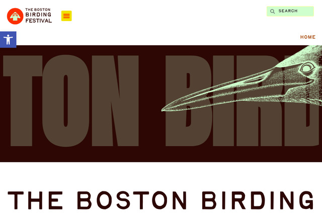 bostonbirdingfestival.org preview image