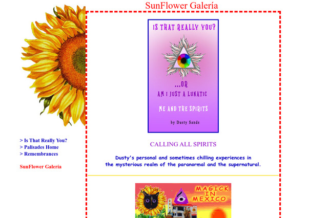 sunflowergaleria.com preview image