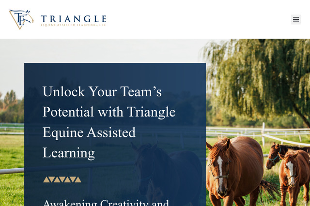 triangleeal.com preview image